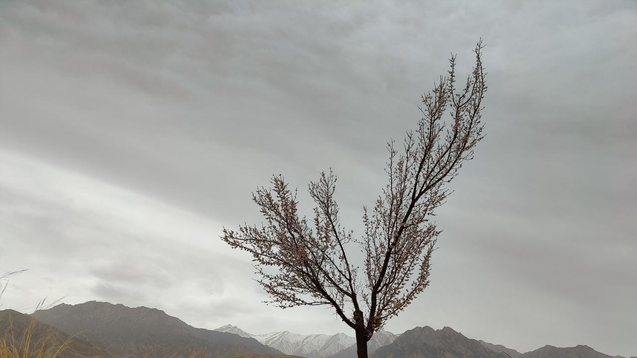 人可以在关系中活成自己