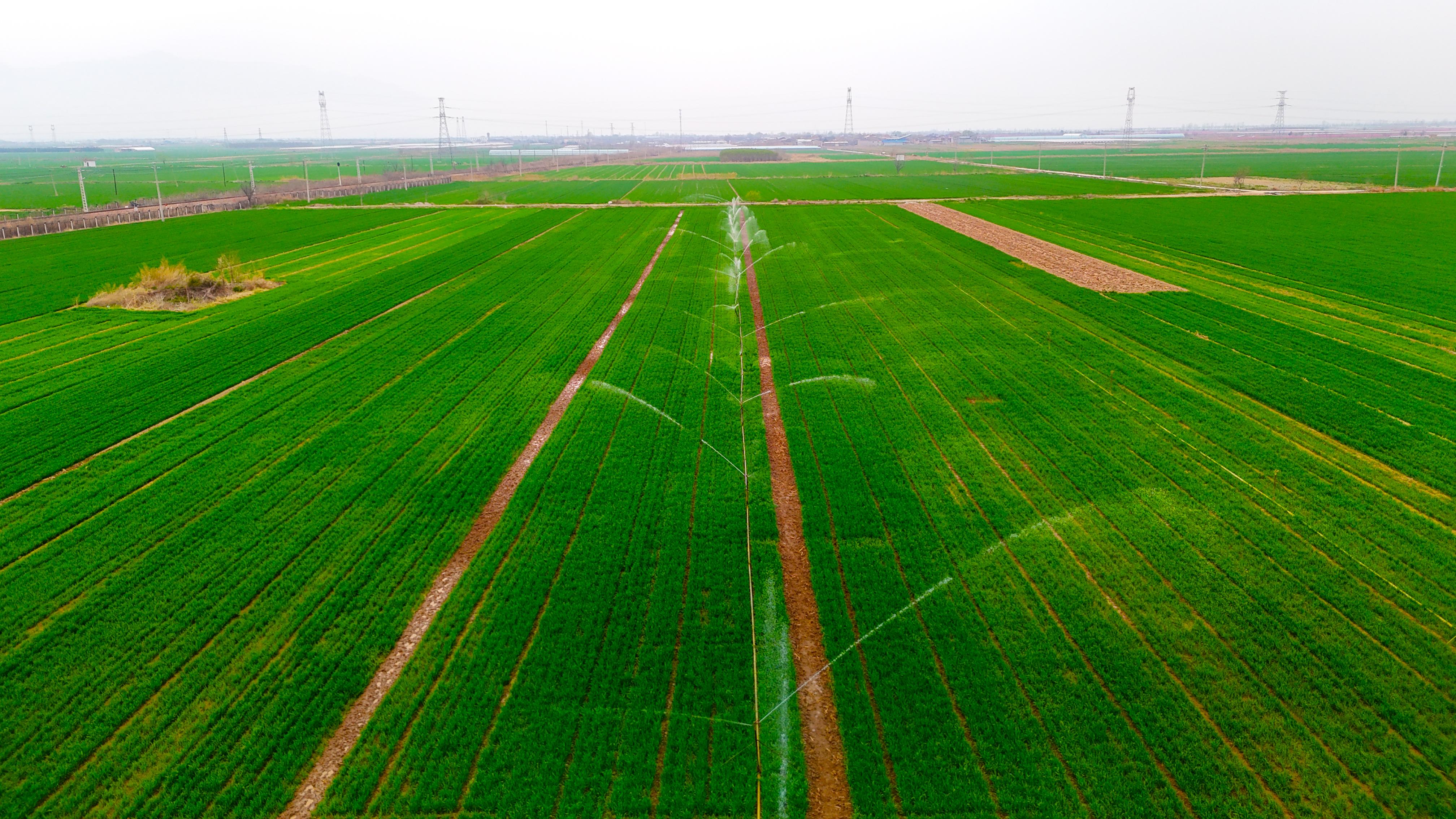 盐湖区席张乡：春灌正当时 田间保丰收