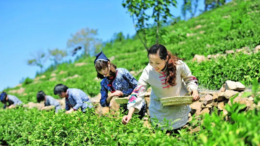 山海有情，童心同行——青岛学子共赴沂蒙春日之约