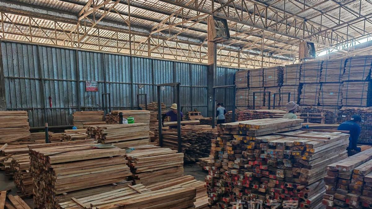 库存积压叠加假期停工，橡胶木部分规格回落50元/立方米