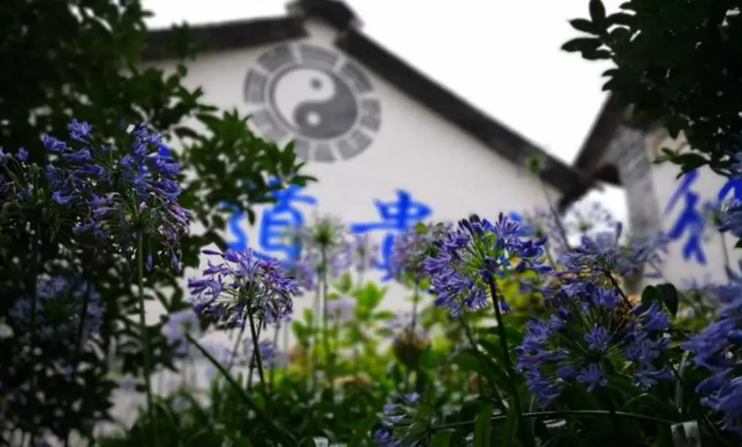 是不传六耳还是应道法广弘，秘传与显传的途径选择