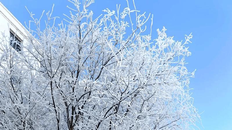 跨年平凉雪花纷飞的冬日