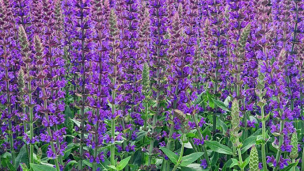 别把政绩做成“自嗨工程”