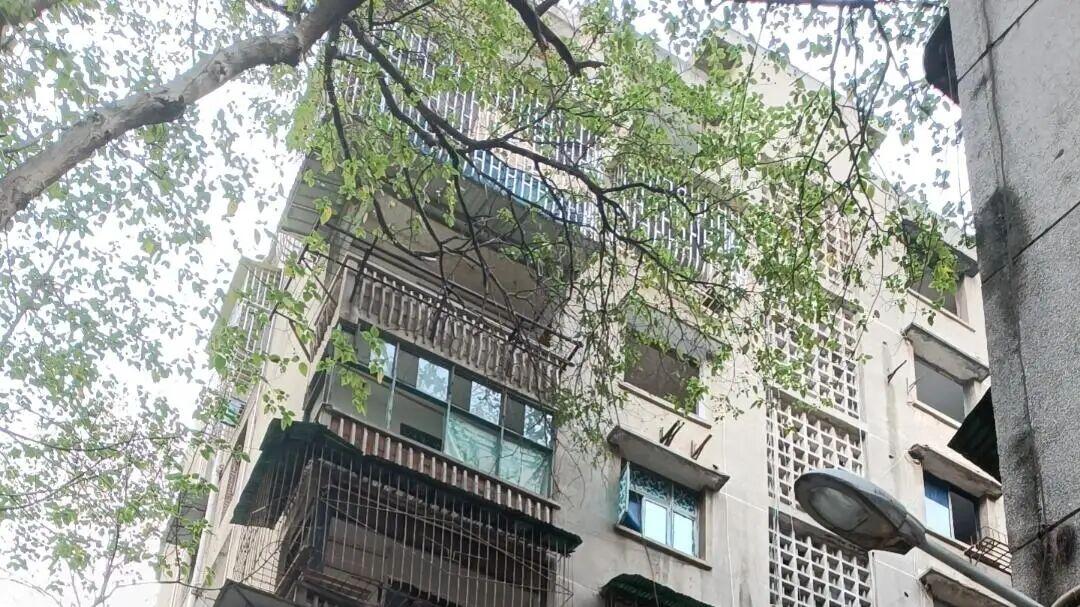 2026，买了老小区的业主要发财了，房龄满28年以上的老房子有新规