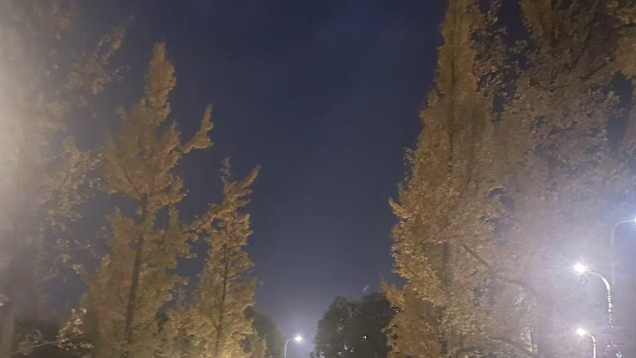 不结婚，老了真的很惨吗？