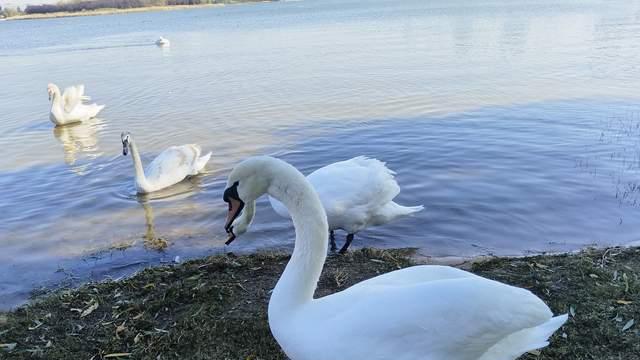 青春期孩子叛逆难管？其实是家长教育方式，早就不适合十几岁的他