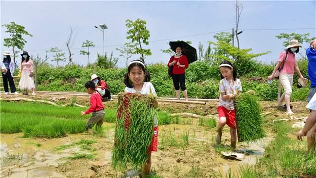 五一假期去哪儿？佛山紫南首届农耕文化节邀您共赴田园之约