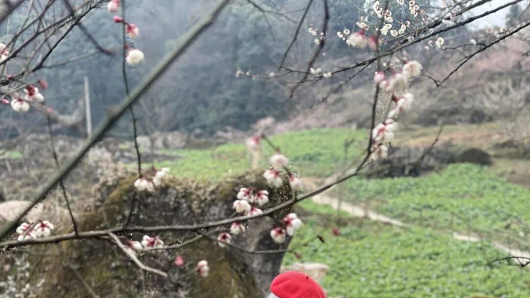 展讯｜田上泥香——刘云泉作品展