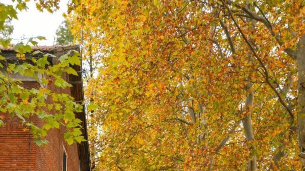 国内高校分享第47期：华中农业大学-计算机不如食品专业吃香？