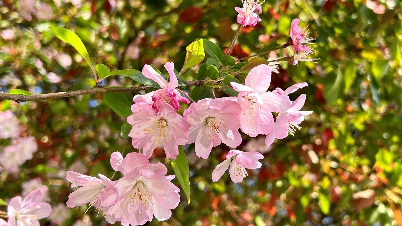 婚姻中，男人有以下的行为，是不再爱你了