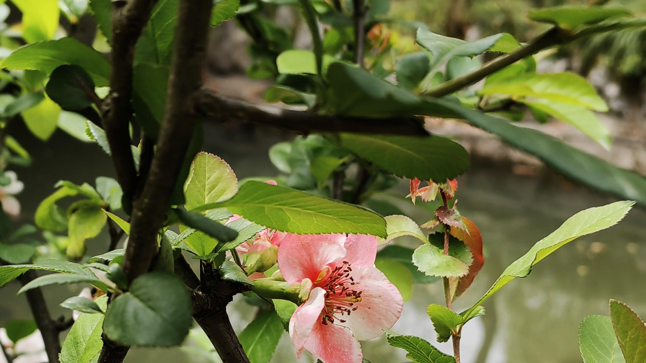 今天，真可以决定未来