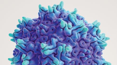 DNA 免疫抗体制备服务：天然构象导向的抗体开发创新技术