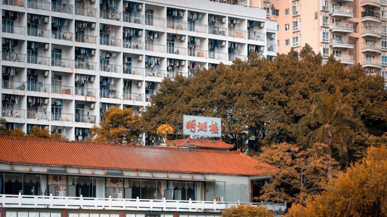 暨南大学热门推荐专业是什么？入选国家级典型，教育资源可观！