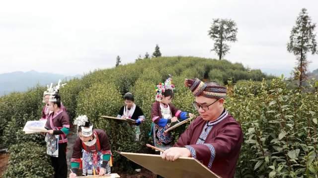 2026年三江早春茶开采仪式启动 “黄金产业”赋能乡村振兴
