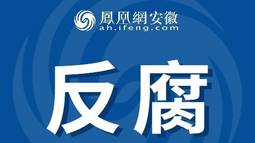 安徽多地纪委监委通报：5人被查！