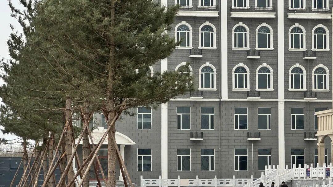 河北外国语学院学生返校，校园复春~