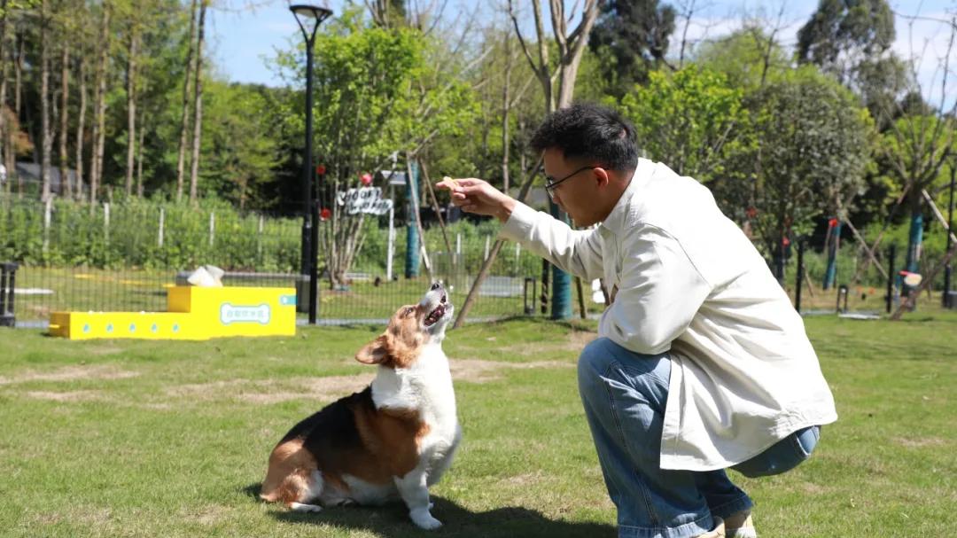 为你家“毛孩子”打造专属新场景，邛崃构建“人宠共融”生活空间