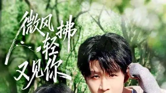 《微风轻拂又见你》甜蜜与阴谋交织，虐恋反转令人窒息（66集）