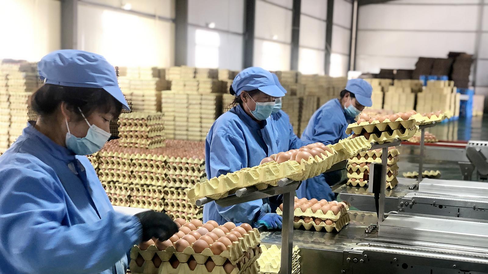 咸阳和美乡村蝶变    村民乐享幸福生活