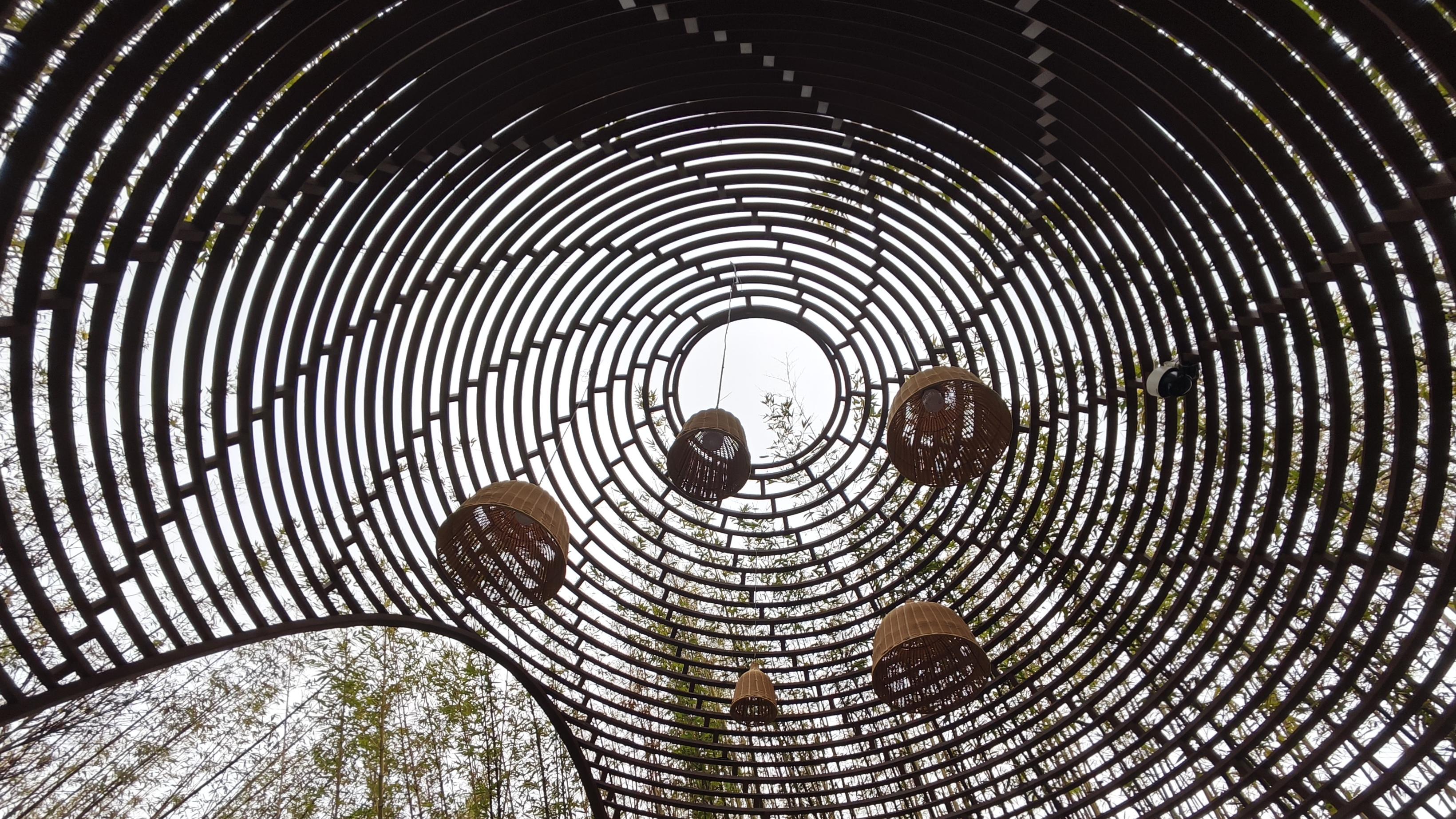 一月，我是一只吃窝边草的兔子