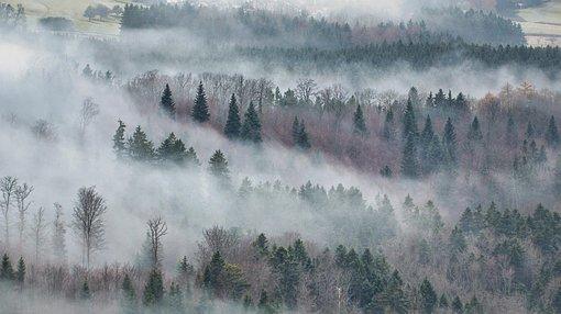 12个乡下美句，你陶醉了吗？