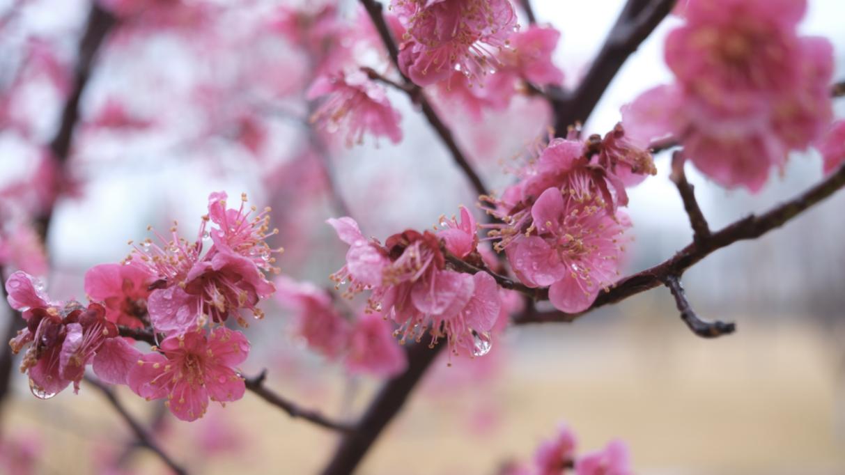 兰州大学保研率怎么样？看看保研去向就知道怎么选了！
