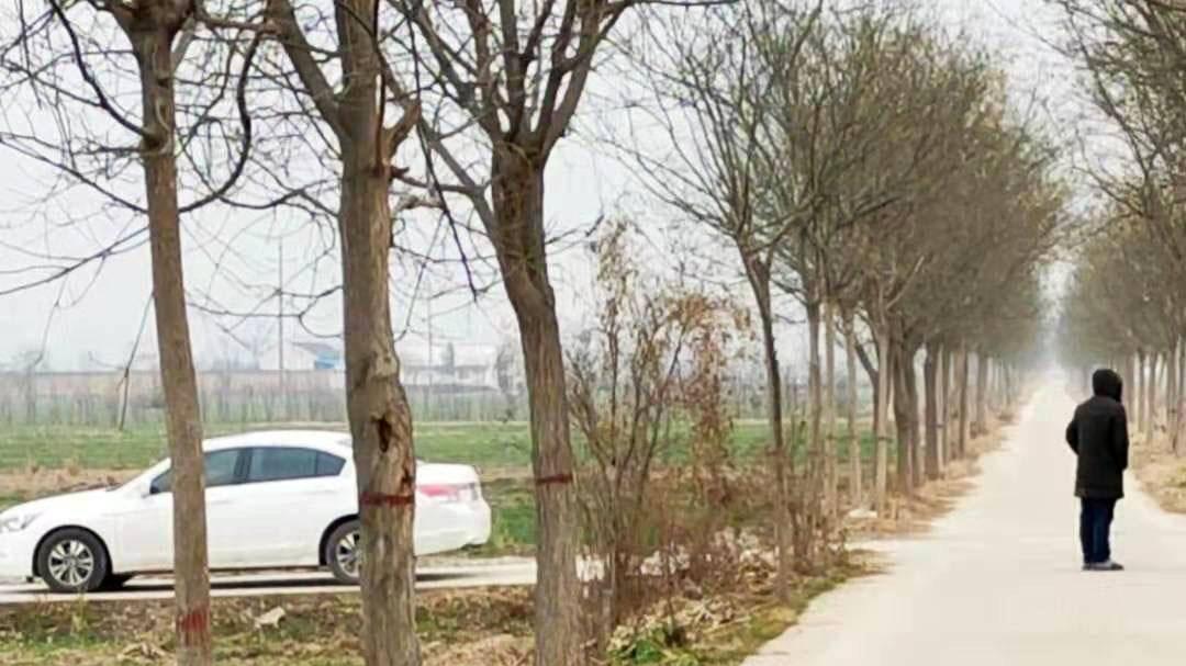 那些离开村子的人，为什么开始往回走了？