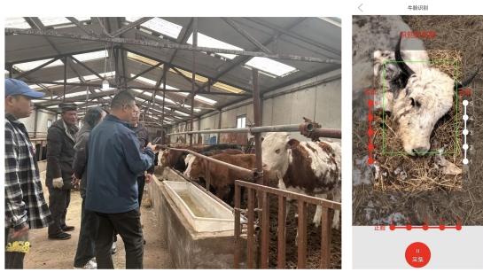 阳光财险：金融护航强保障 “数智”助农暖民生