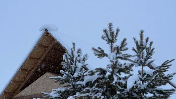 禾木河畔白桦摇金，藏着图瓦人千年的温柔