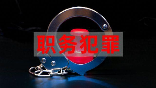 从新手到高手：职务犯罪辩护领域的五大核心法则