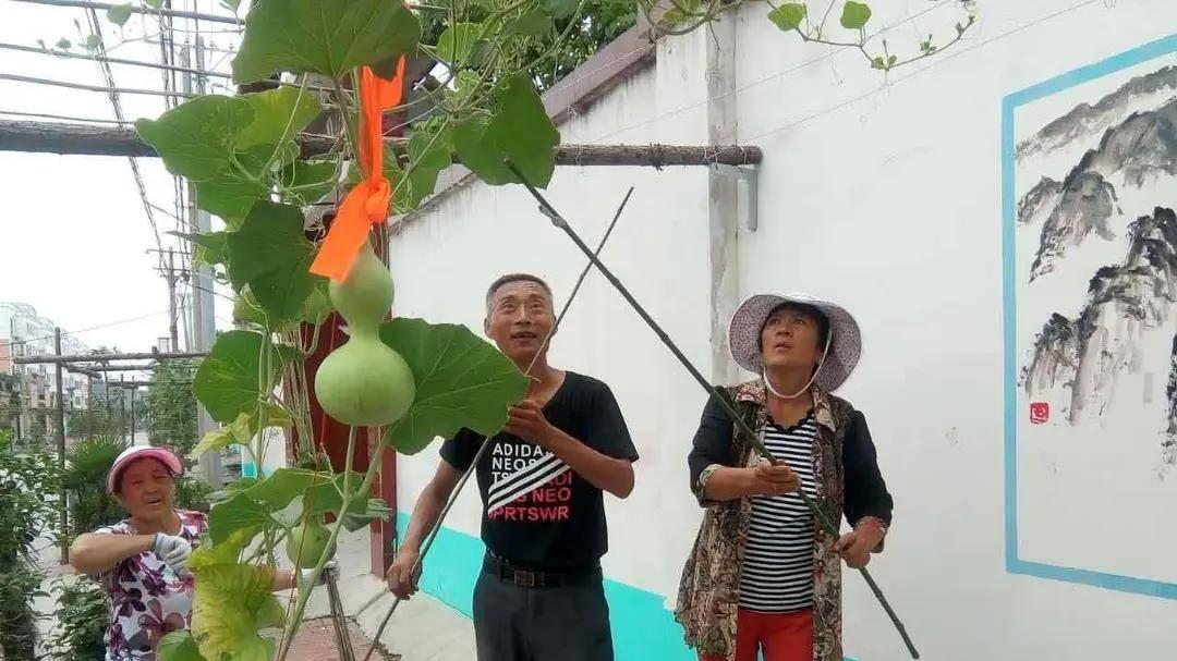 汴梁人物|郭力：在历史断层上重建精神坐标的中原“守夜人”