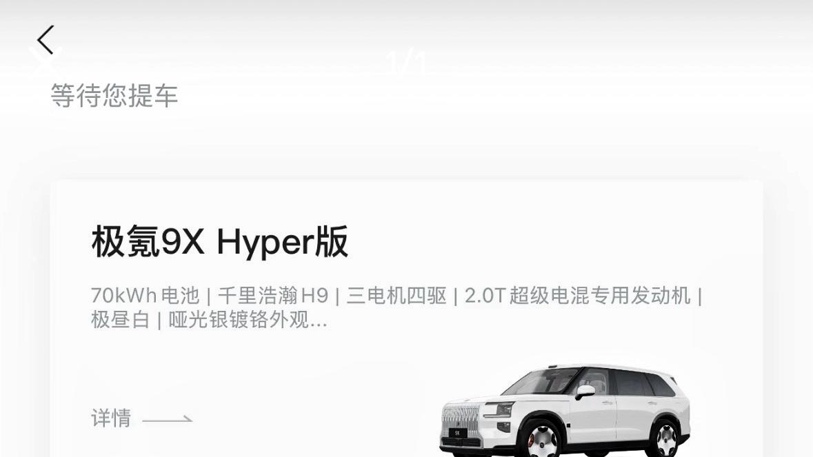 大G车主，最终还是选择了极氪9X