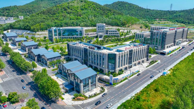 从教育到“教医养”生态：东软睿新重构长期增长逻辑