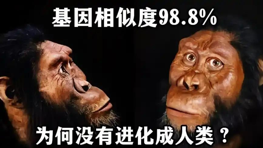 深度长文：假如人类彻底灭亡，数亿年后，地球还能进化出人类吗？