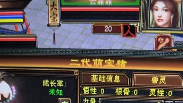 天龙怀旧服：杰出2922胆小巧克力猪，怎么打造最合适？懂得来！