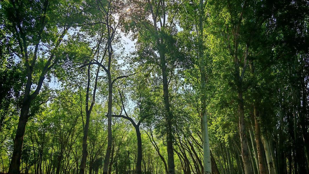 你以为是旅游湖，其实它一直在养一座城