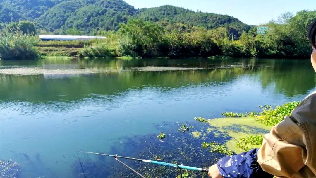 河里这东西是“万能饵”，大鲶鱼大黑鱼抢着咬，效果不输商品饵！