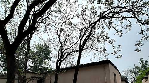 企事业单位党支部西柏坡党建培训 红色精神融岗位履职