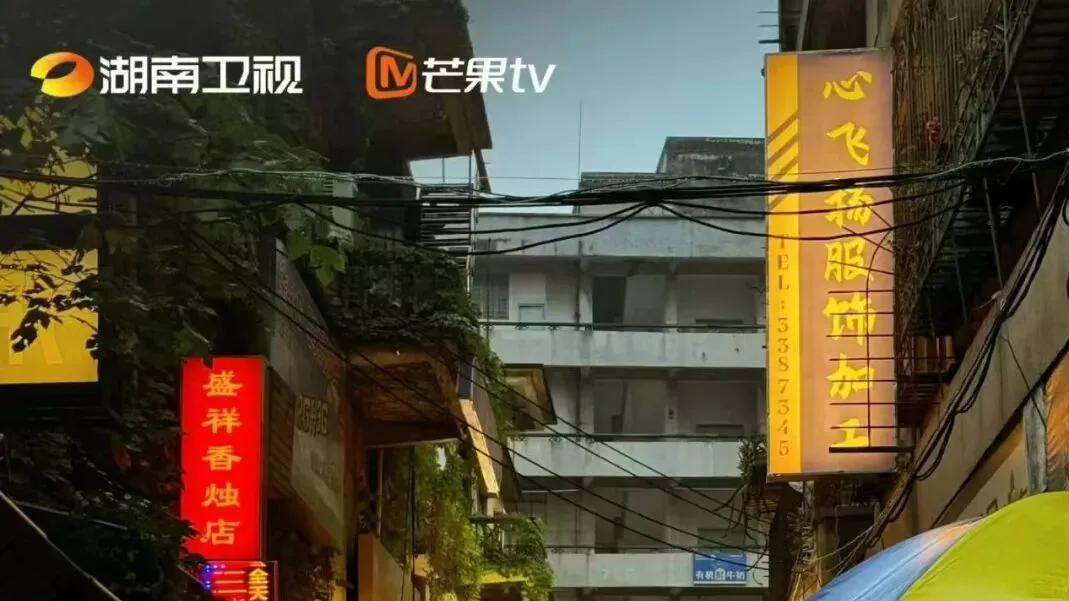 晋江9.6分改编剧上线！宋威龙、张婧仪《野狗骨头》，惠州拍的90年代藤城