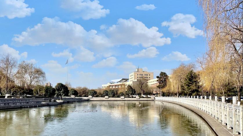 张舒婷：狂欢理论视域下网络直播存在的问题及解决策略探析