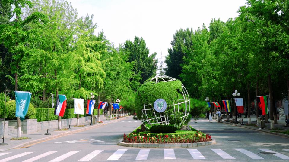 北京中外合作办学专业推荐：北京语言大学“语言+”复合型人才培养