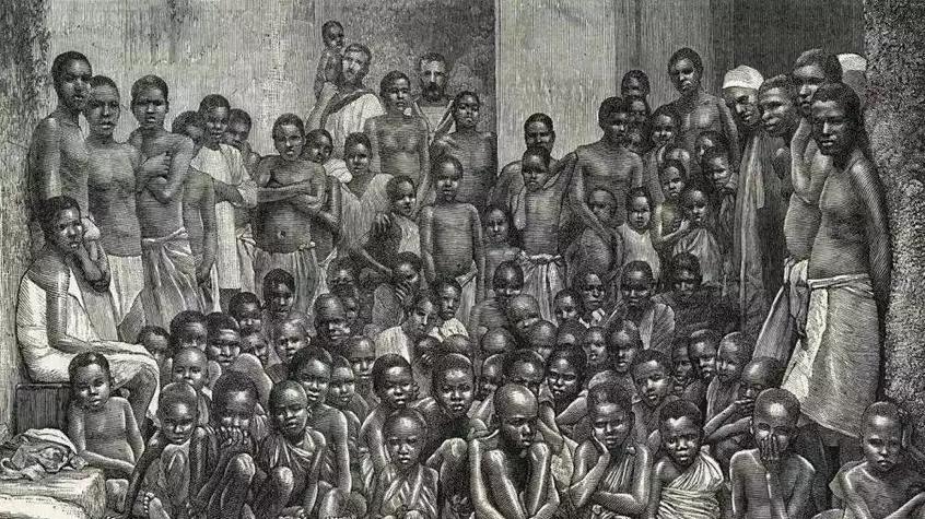 黑奴贸易里，将黑人扒光并让男女挤一起，只是为了省钱省事吗