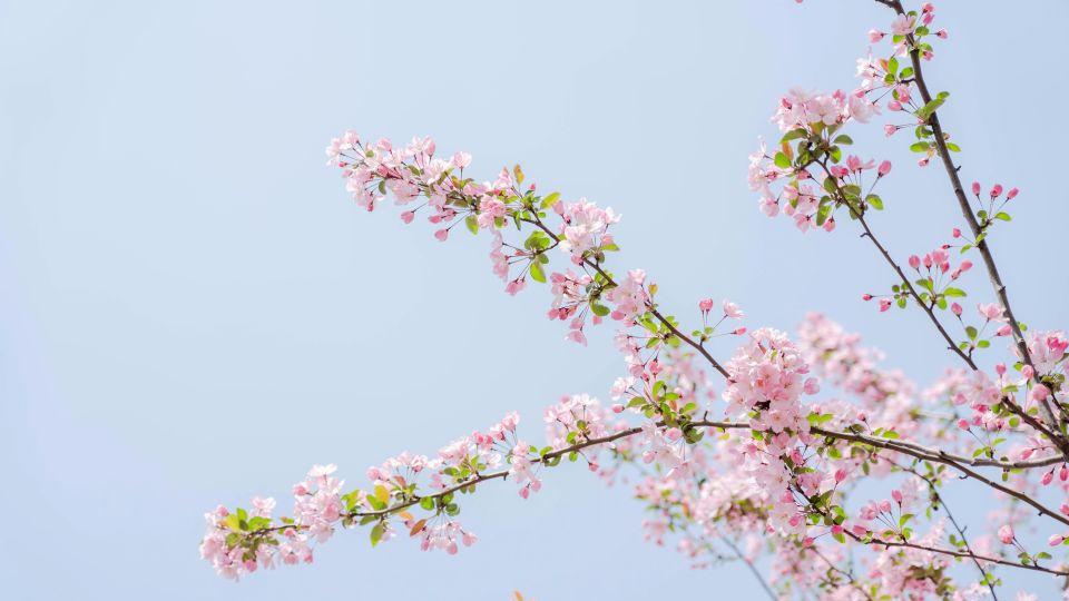 照顾婆婆5年，300万拆迁款却没我份，撕破脸后6年婆婆打来了电话