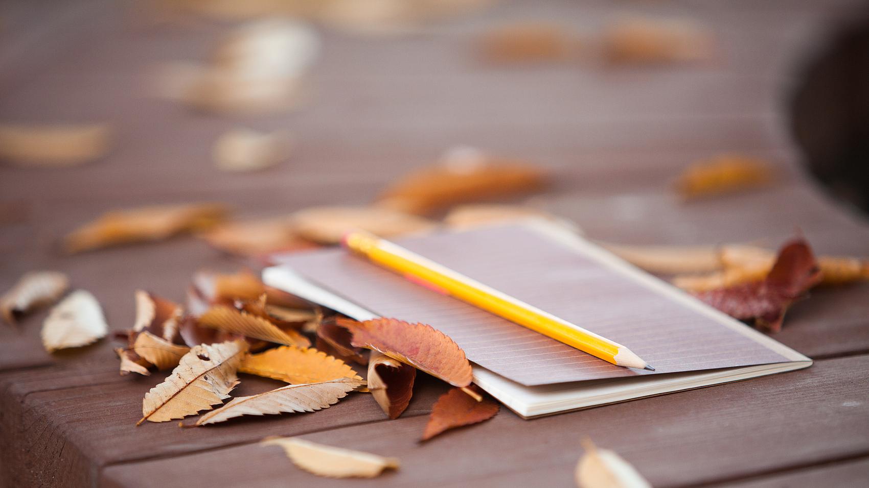 高考前父母离异给孩子的伤痛