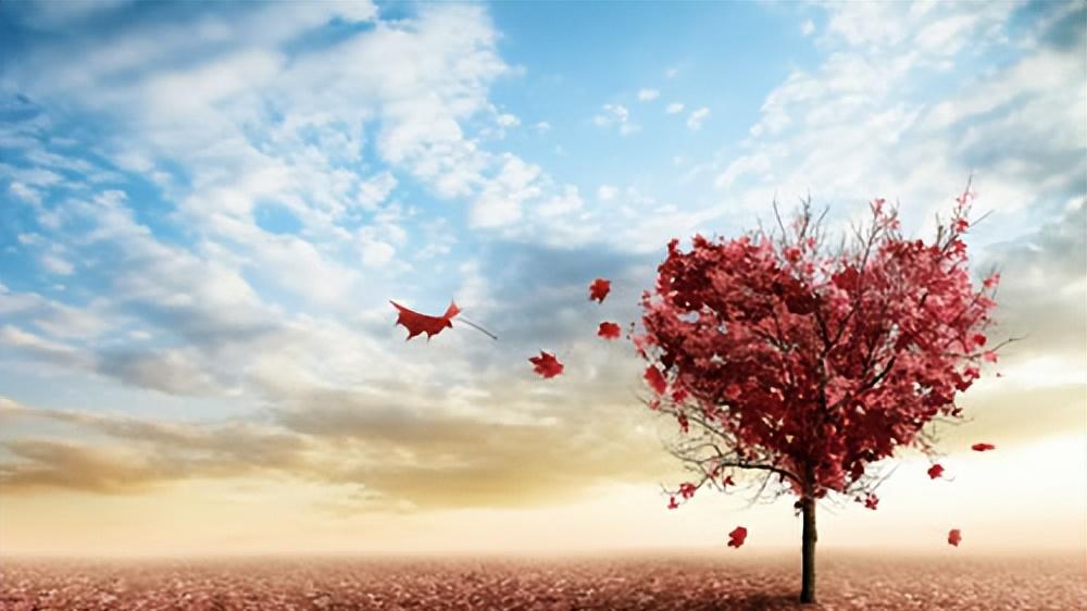 2026年婚姻挽回机构排行榜：最专业的情感挽回、修复公司排名推荐