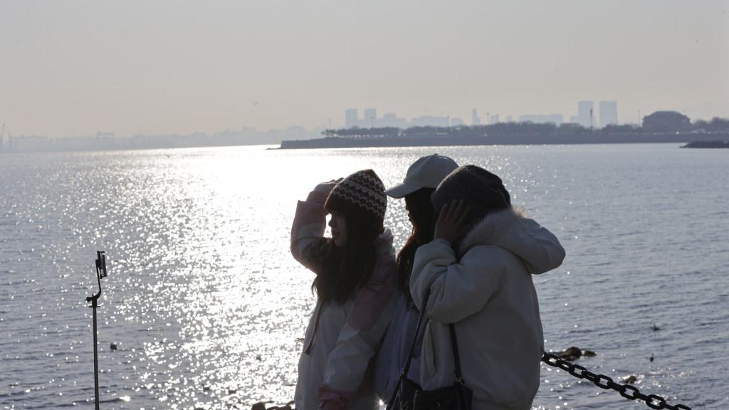 栈桥海鸥花式“抢镜”，落头送来情绪价值