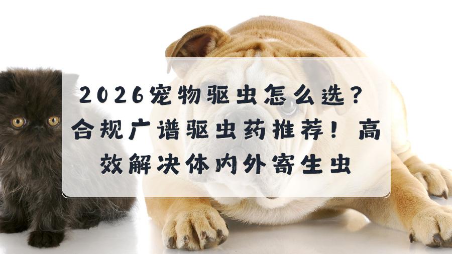 2026宠物驱虫怎么选？合规广谱驱虫药推荐！高效解决体内外寄生虫