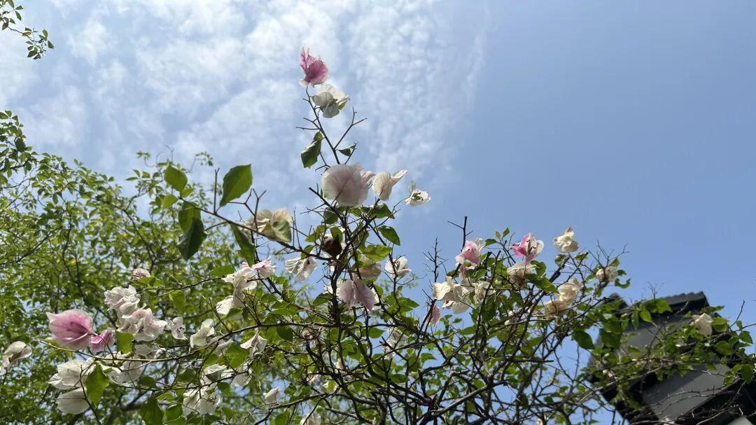 《蜜语纪》：在十年婚姻中无私付出的许蜜语被无情抛弃，这个事实告诉我们一个真相