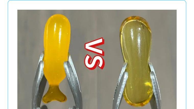 别再瞎给娃补 DHA！藻油 vs 鱼油怎么选？