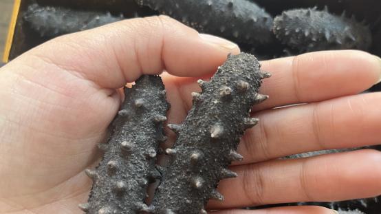 学会这些技巧，不再担心吃海参会浪费食材!